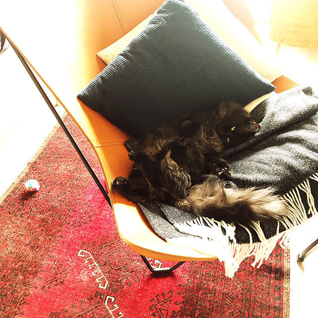 annさんの実例写真