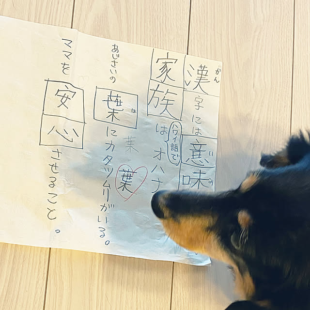 ohanaさんの実例写真