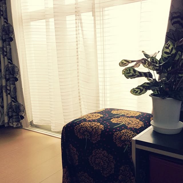 MMさんの実例写真