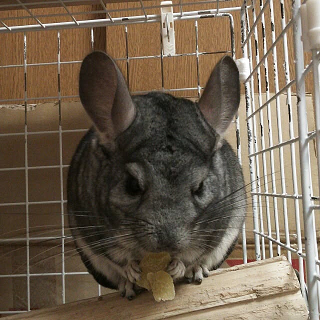 Haruさんの実例写真