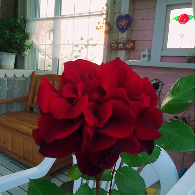 HappyRoseさんの実例写真