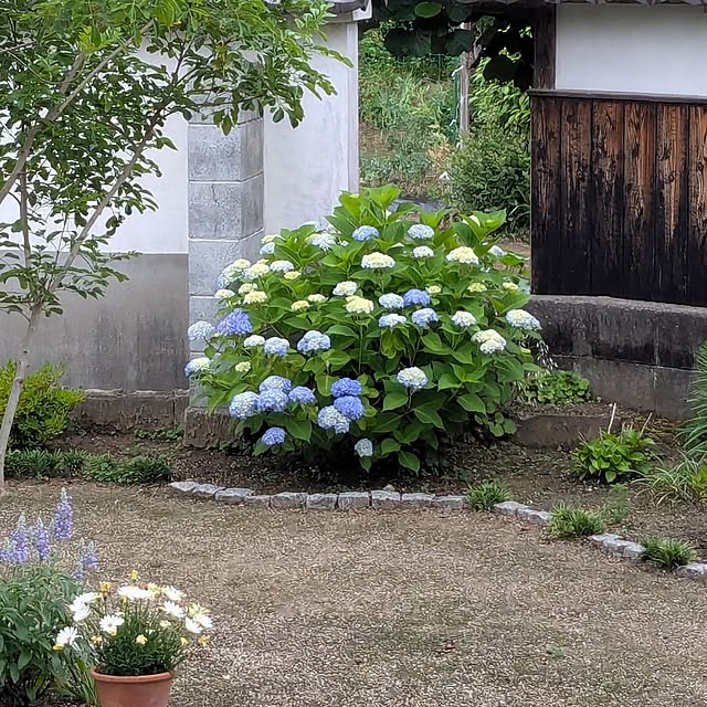 tabasaさんの部屋