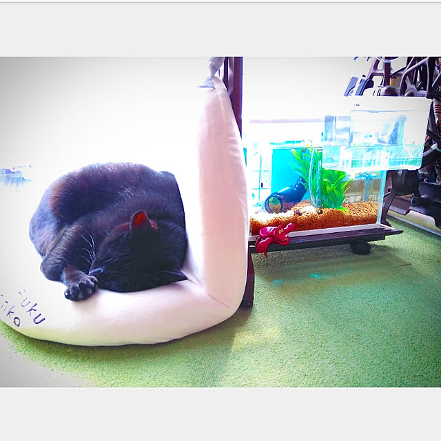 mntcさんの実例写真