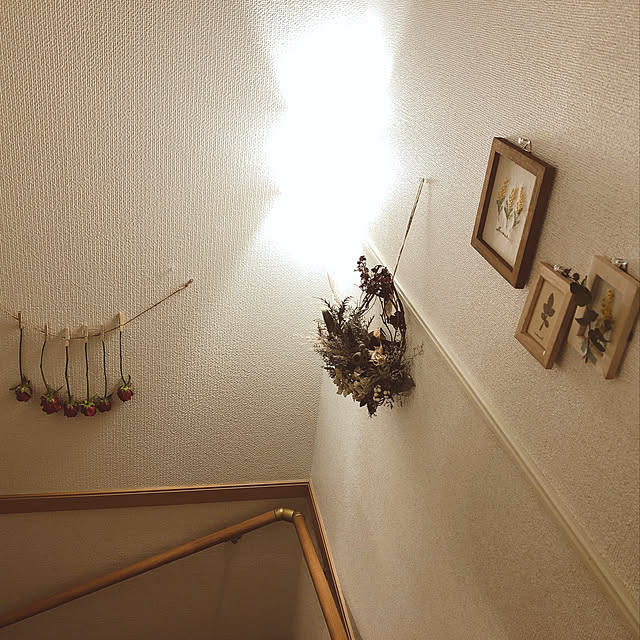 saaaさんの実例写真