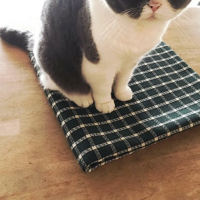 KITONOさんの実例写真