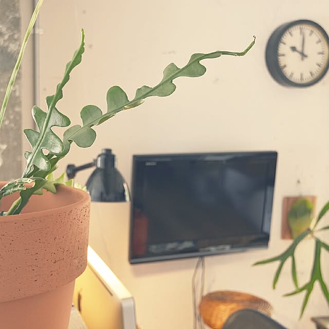 renovelifeさんの実例写真