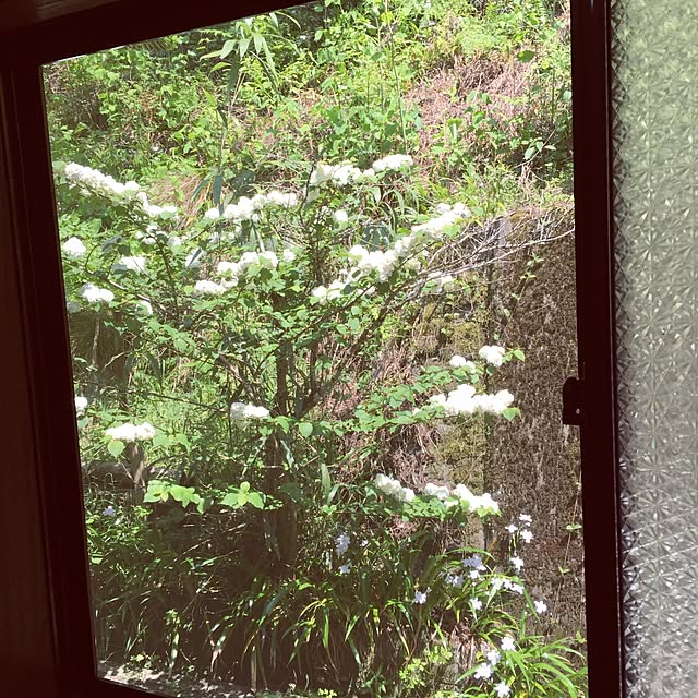 so_ko_516さんの実例写真