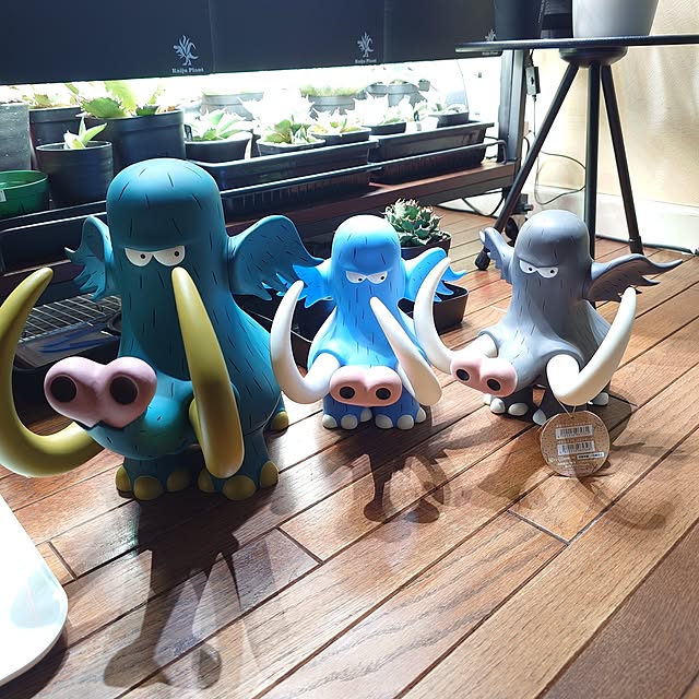 tropical_happy_lifeさんの実例写真