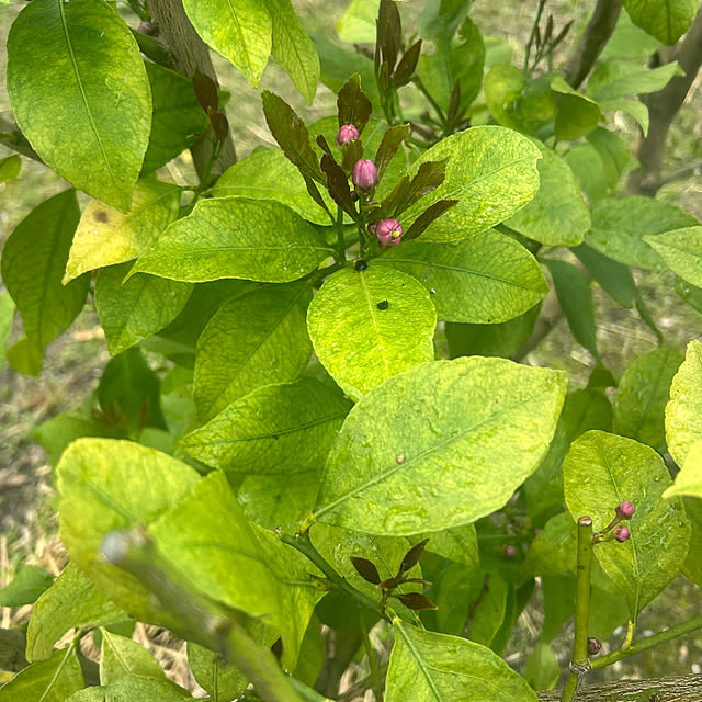 banbinaさんの部屋