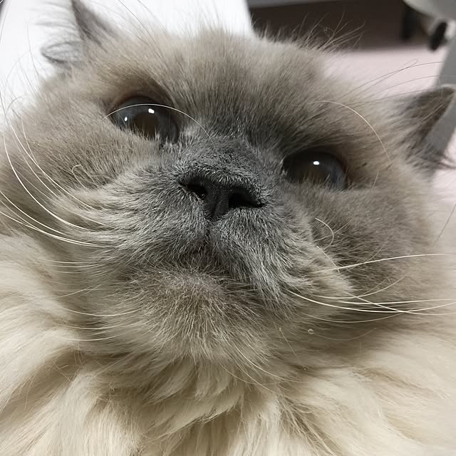 yuchiさんの実例写真
