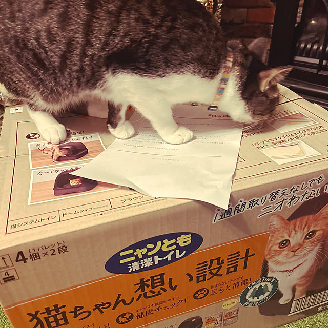 muupoupepeさんの実例写真