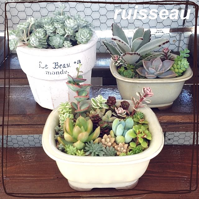 ruisseauさんの実例写真