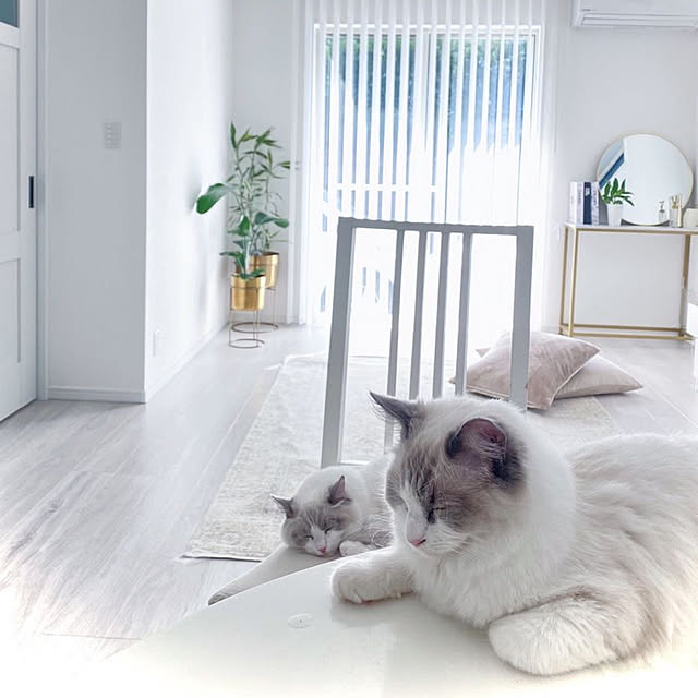 MoyoHomeさんの実例写真