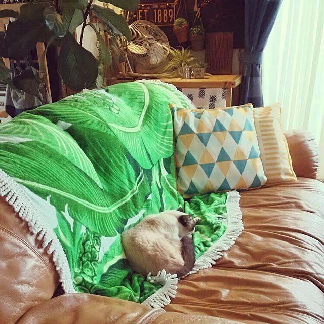 hisayuさんの実例写真