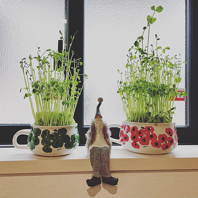 KIKUさんの実例写真