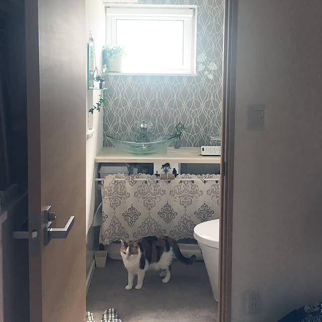 megu.catさんの実例写真