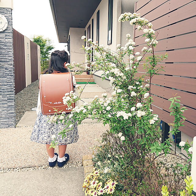 akeさんの実例写真