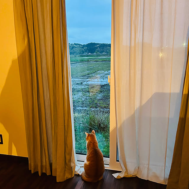 R.さんの実例写真