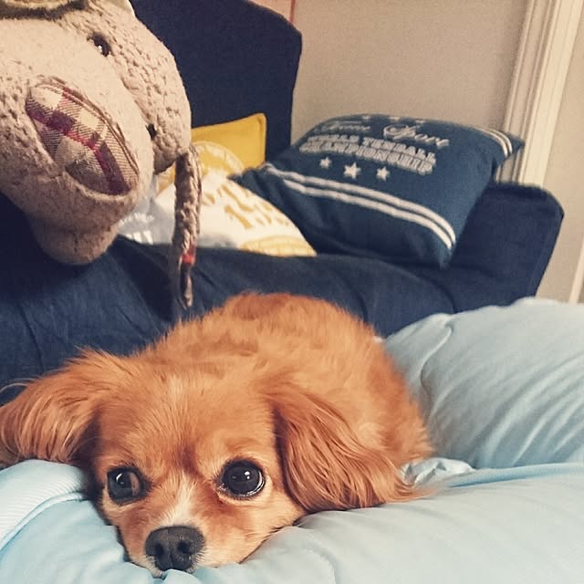 NATTUさんの実例写真