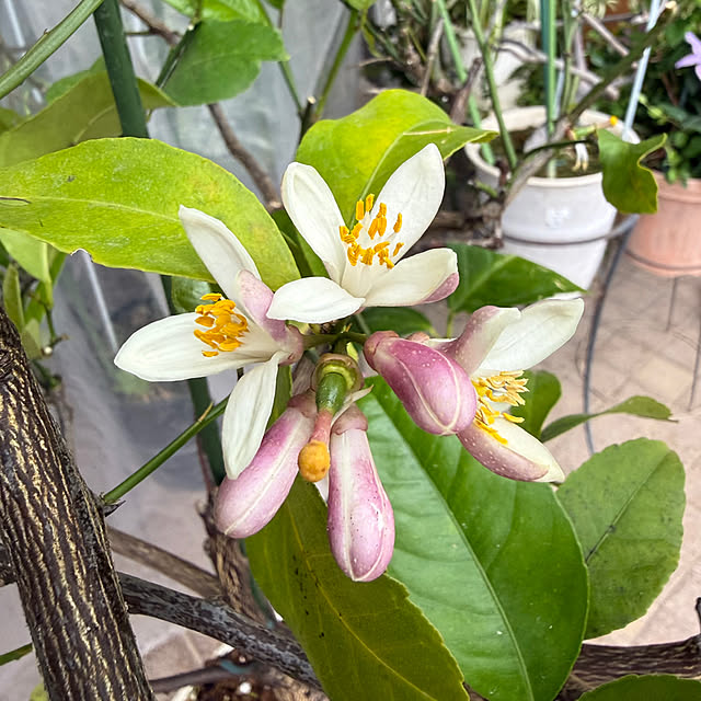 Aqettyさんの部屋