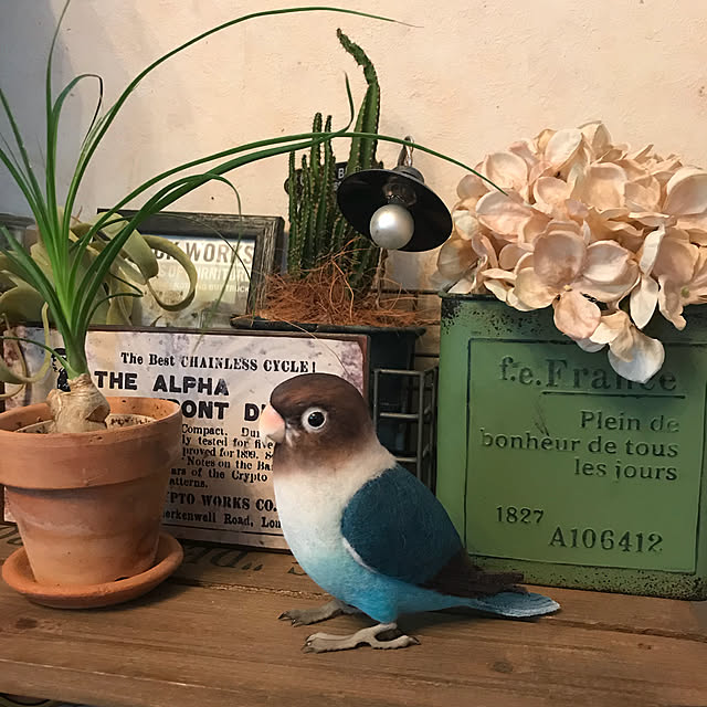 panchanさんの実例写真