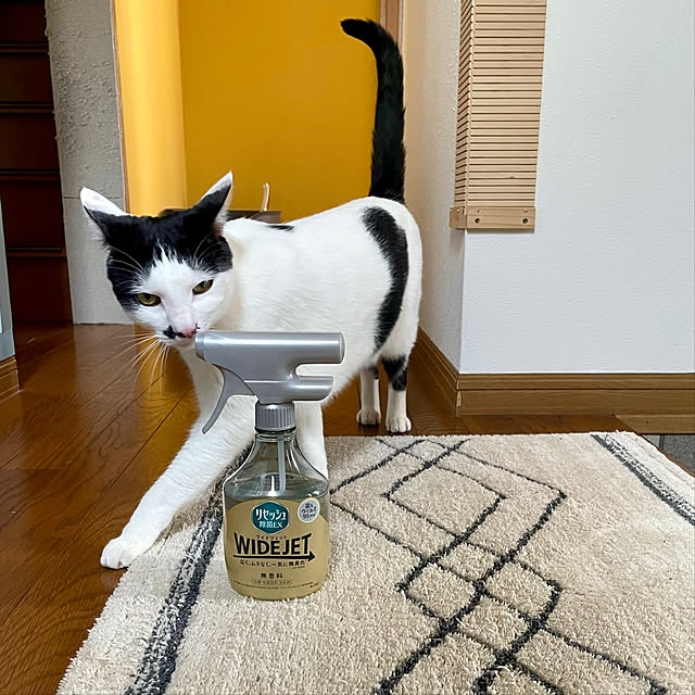 nobikoさんの実例写真