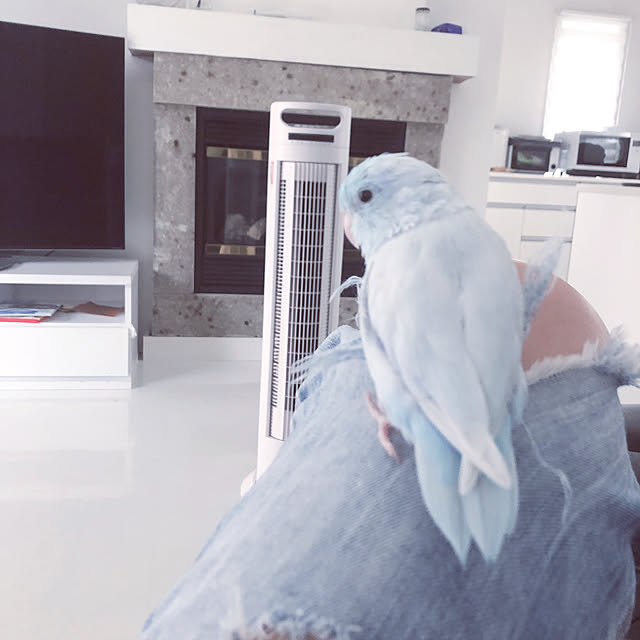 linaさんの実例写真