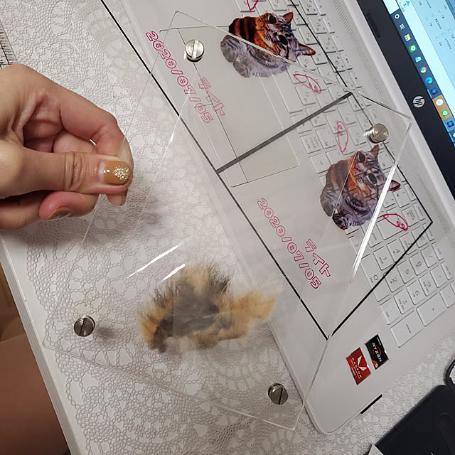 bellさんの実例写真