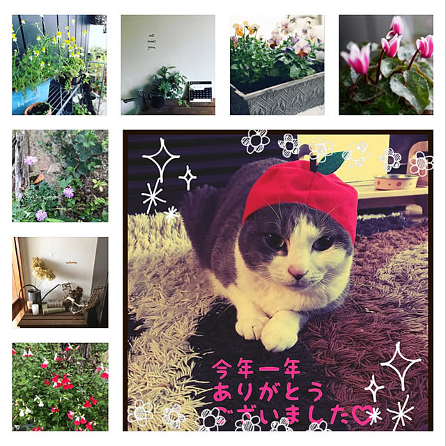 chicchiさんの実例写真