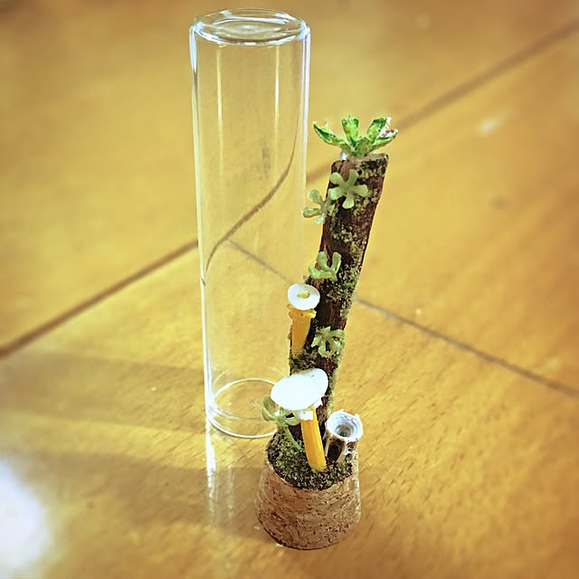 ramuchop3000さんの実例写真