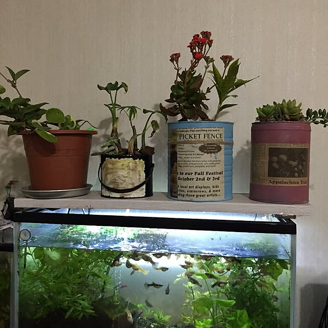 moririnさんの実例写真