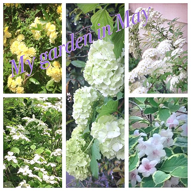 Claraさんの実例写真