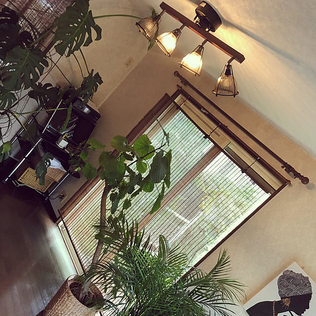 Rincoさんの実例写真
