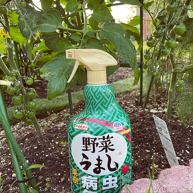 seiさんの実例写真