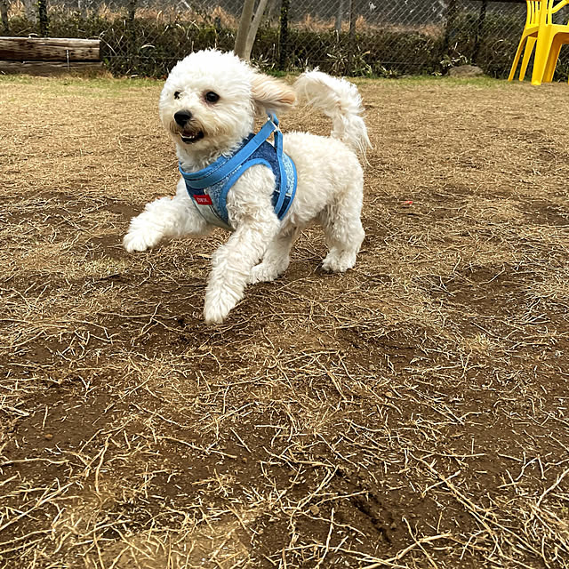 104handsさんの部屋