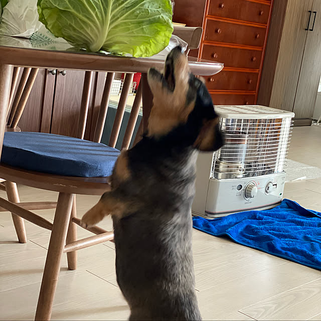 ohanaさんの実例写真