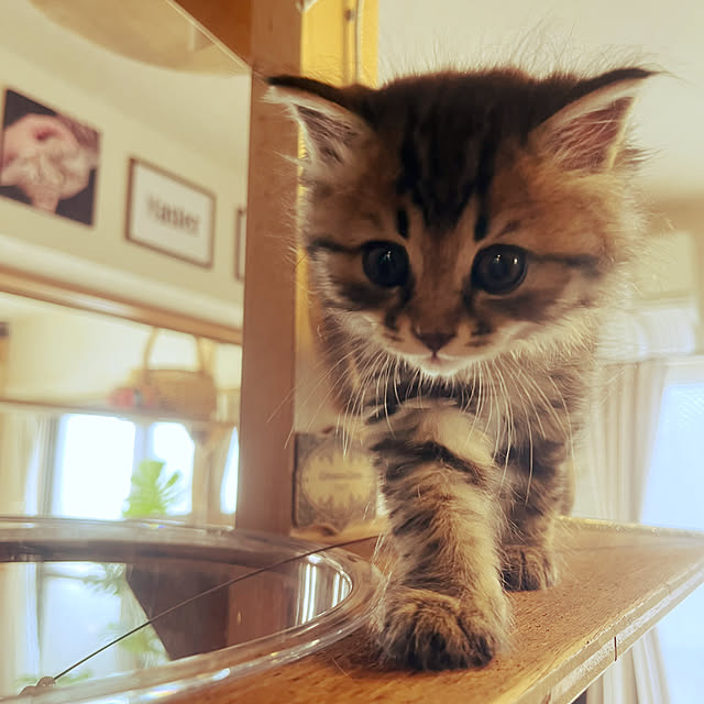 Mさんの実例写真