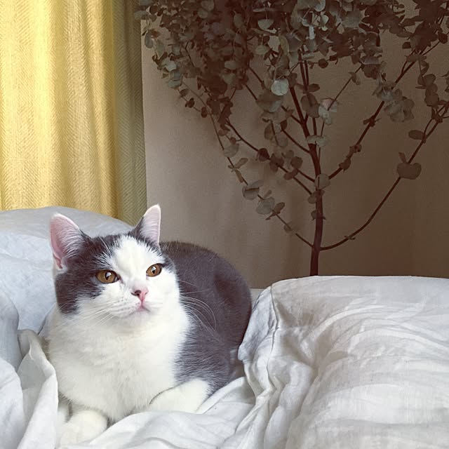 yunさんの実例写真
