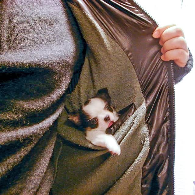Shunsukeさんの実例写真