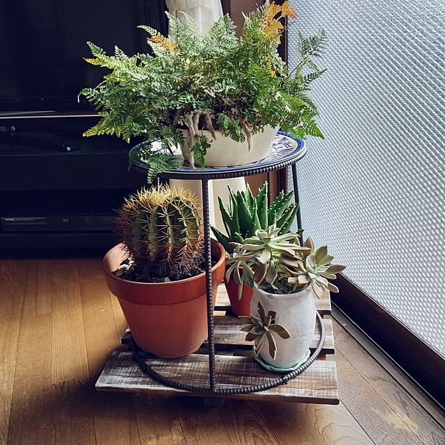 Doryさんの実例写真