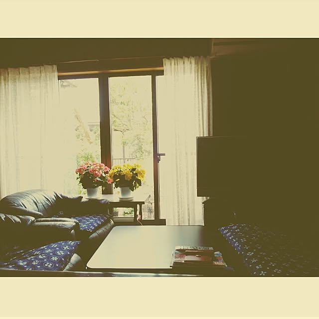 mntcさんの実例写真
