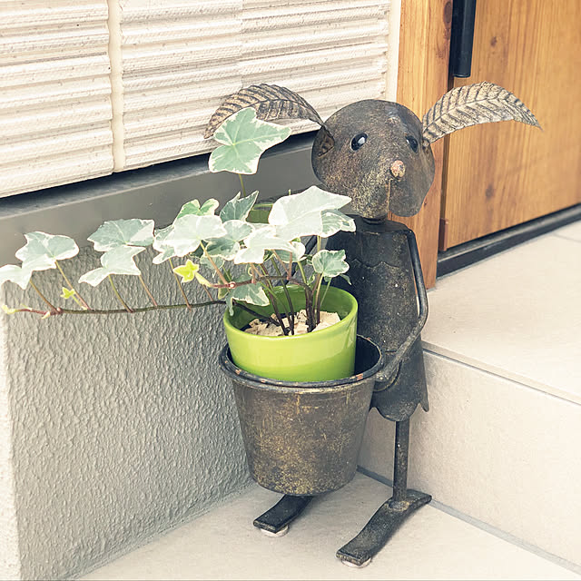 実例写真