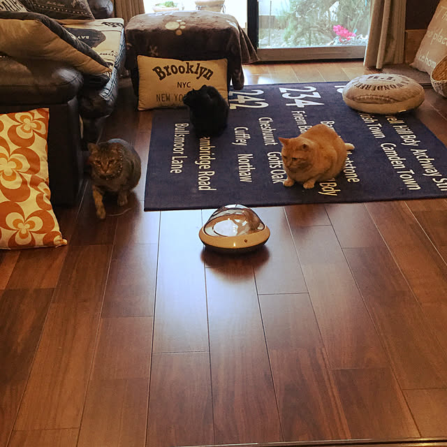 chikaさんの実例写真