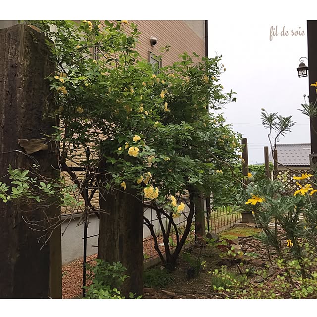 kinu-itoさんの実例写真