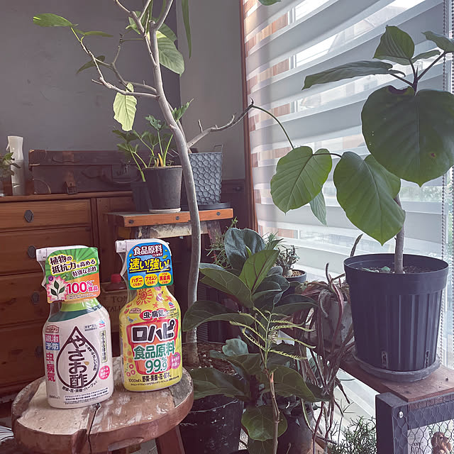 yupponさんの実例写真