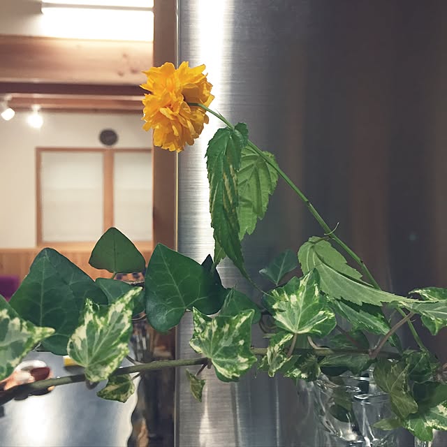 miyaさんの実例写真