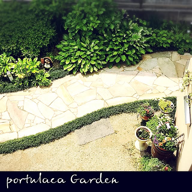portulacaさんの実例写真