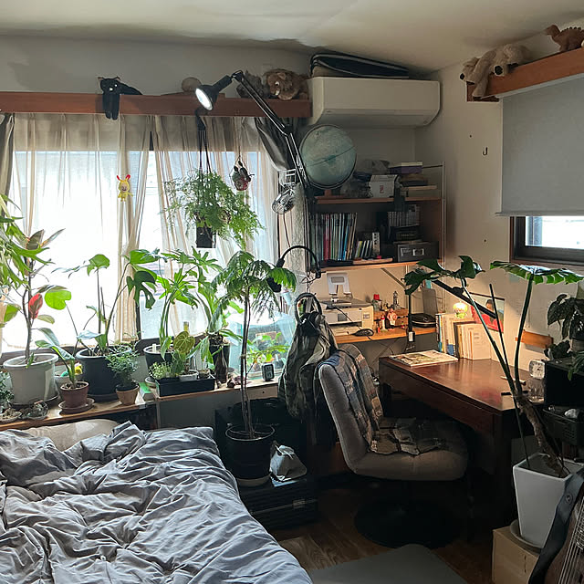 bachiさんの実例写真