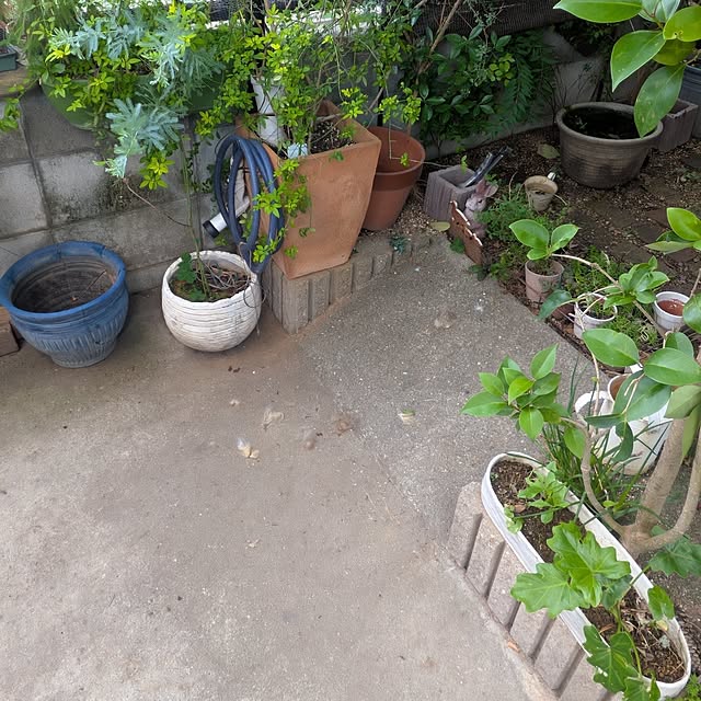 mori_6_12さんの実例写真