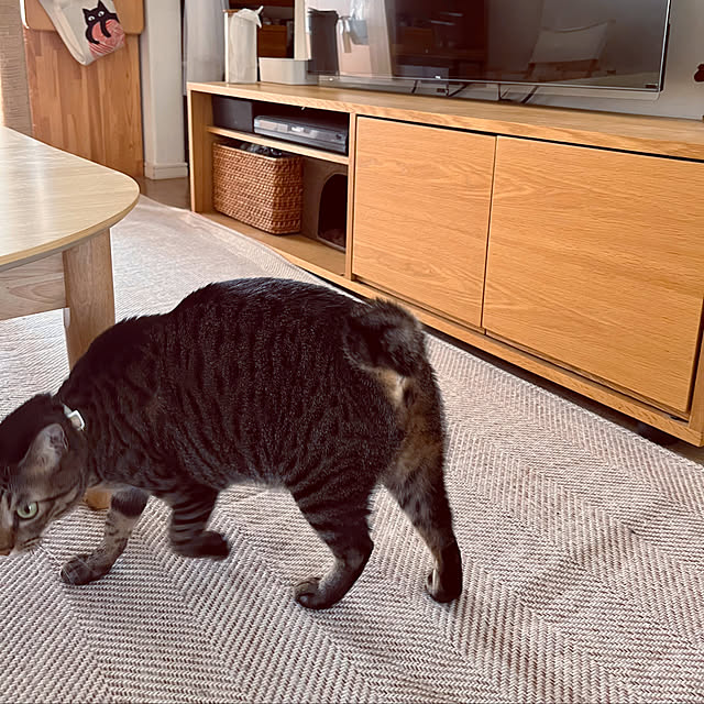 masamasaさんの実例写真
